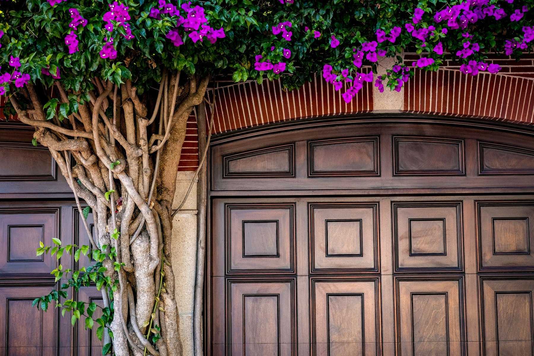Arched stained-wood garage door with raised panels, partly framed by a flowering bougainvillea